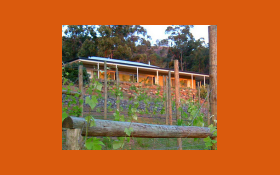 Wallaby-Ridge-Retreat-Canungra-Gold-Coast-Hinterland-Bed-and-Breakfast Thumbnail